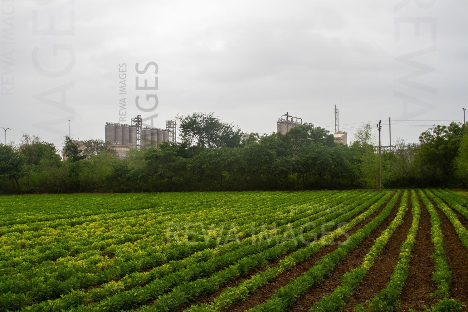 Petrochemical complex in Jamnagar, Gujarat