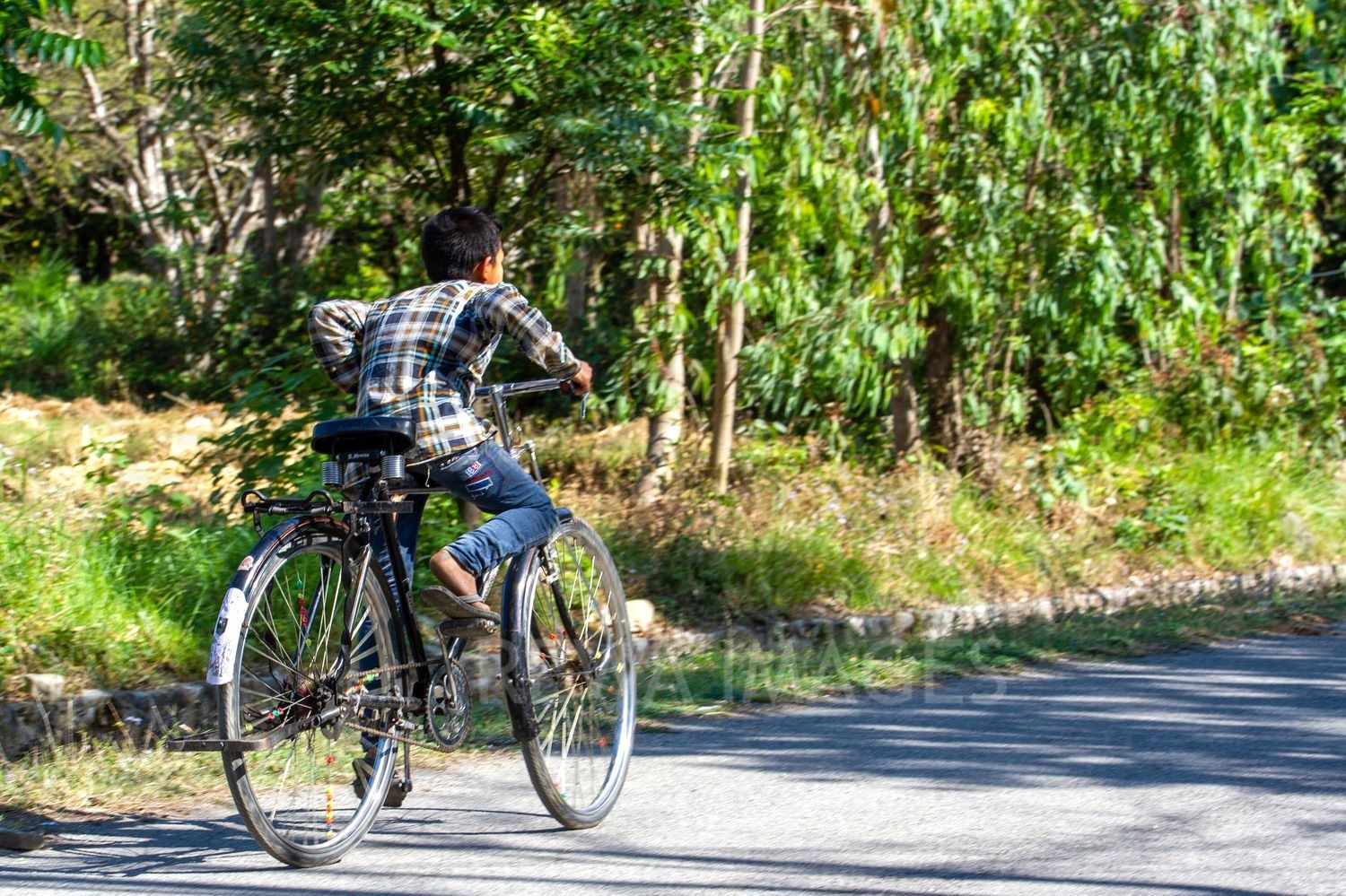 Young Cyclist