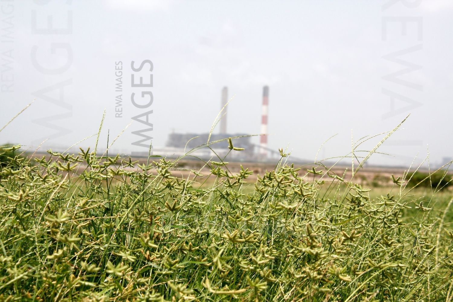 Tata Mundra project in early days