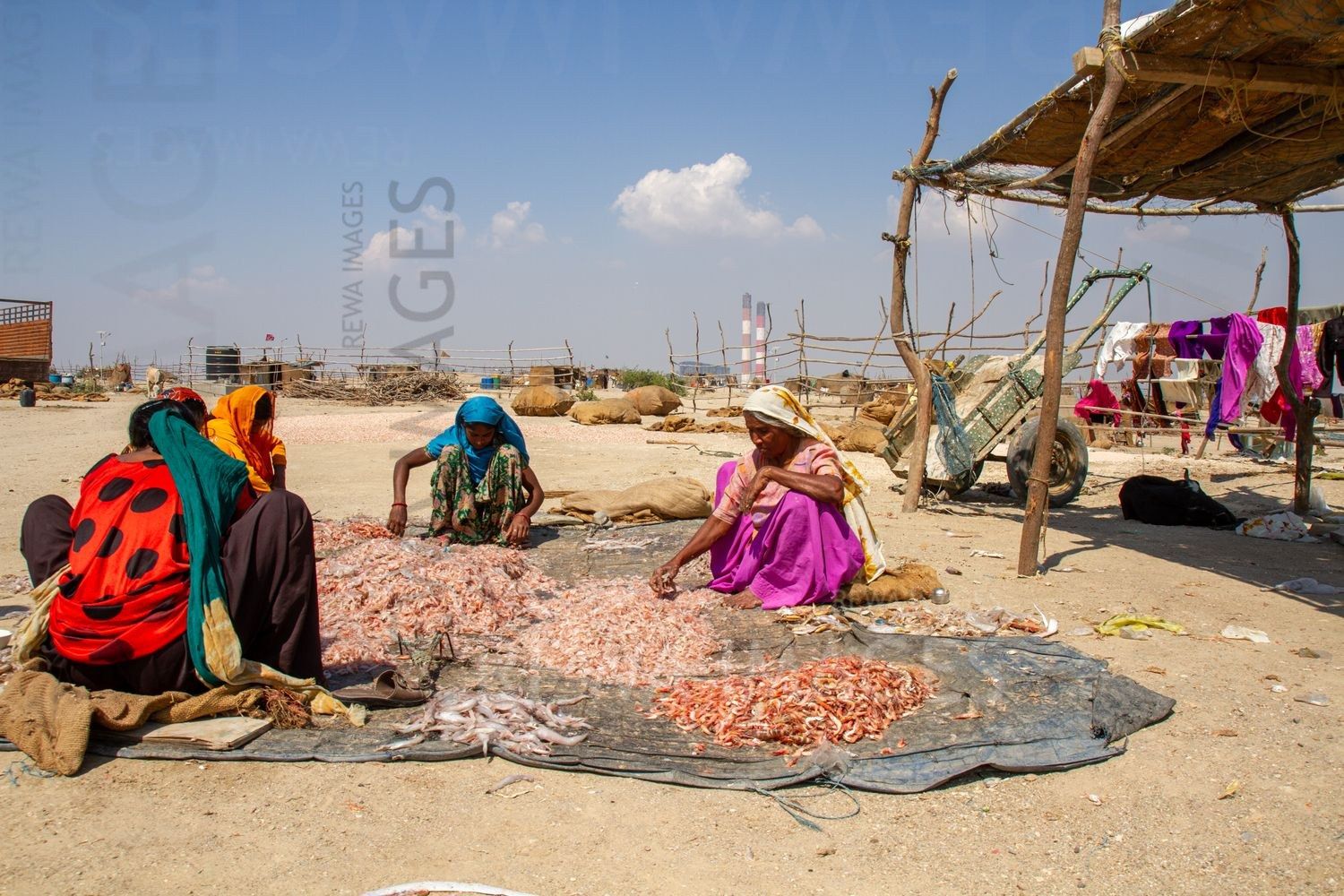 Women processing the fish catch at Tata Mundra affected village