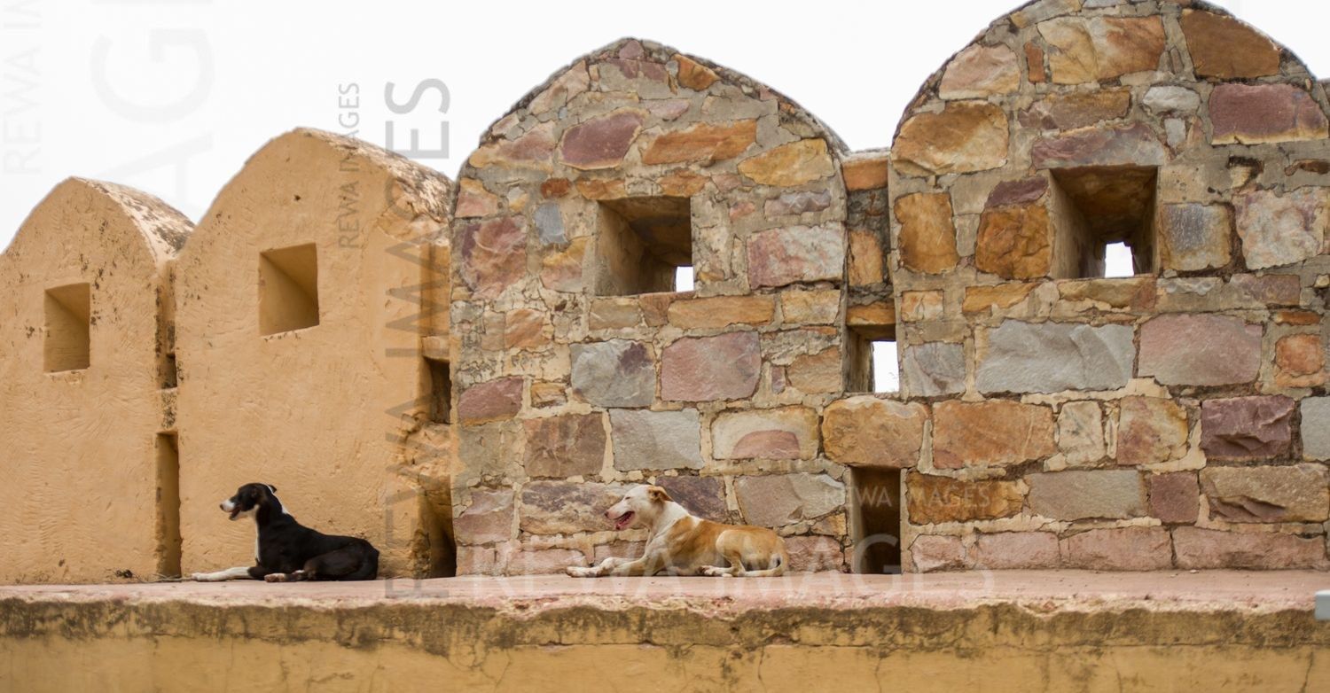 Nahargarh Fort in Jaipur