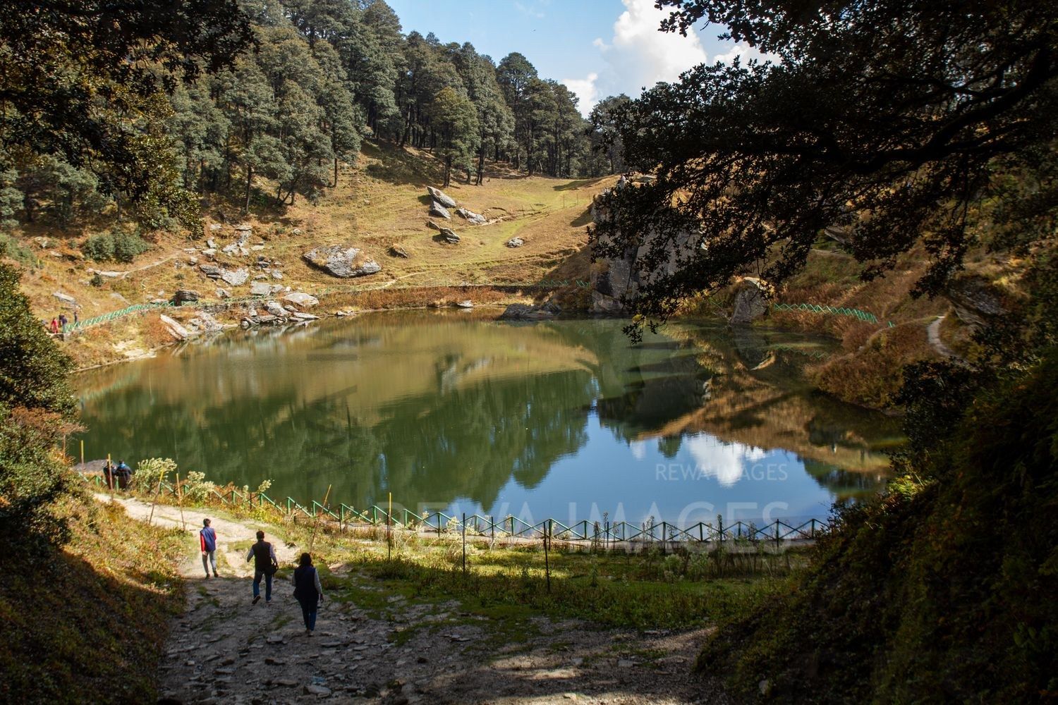 Himalayan Forests