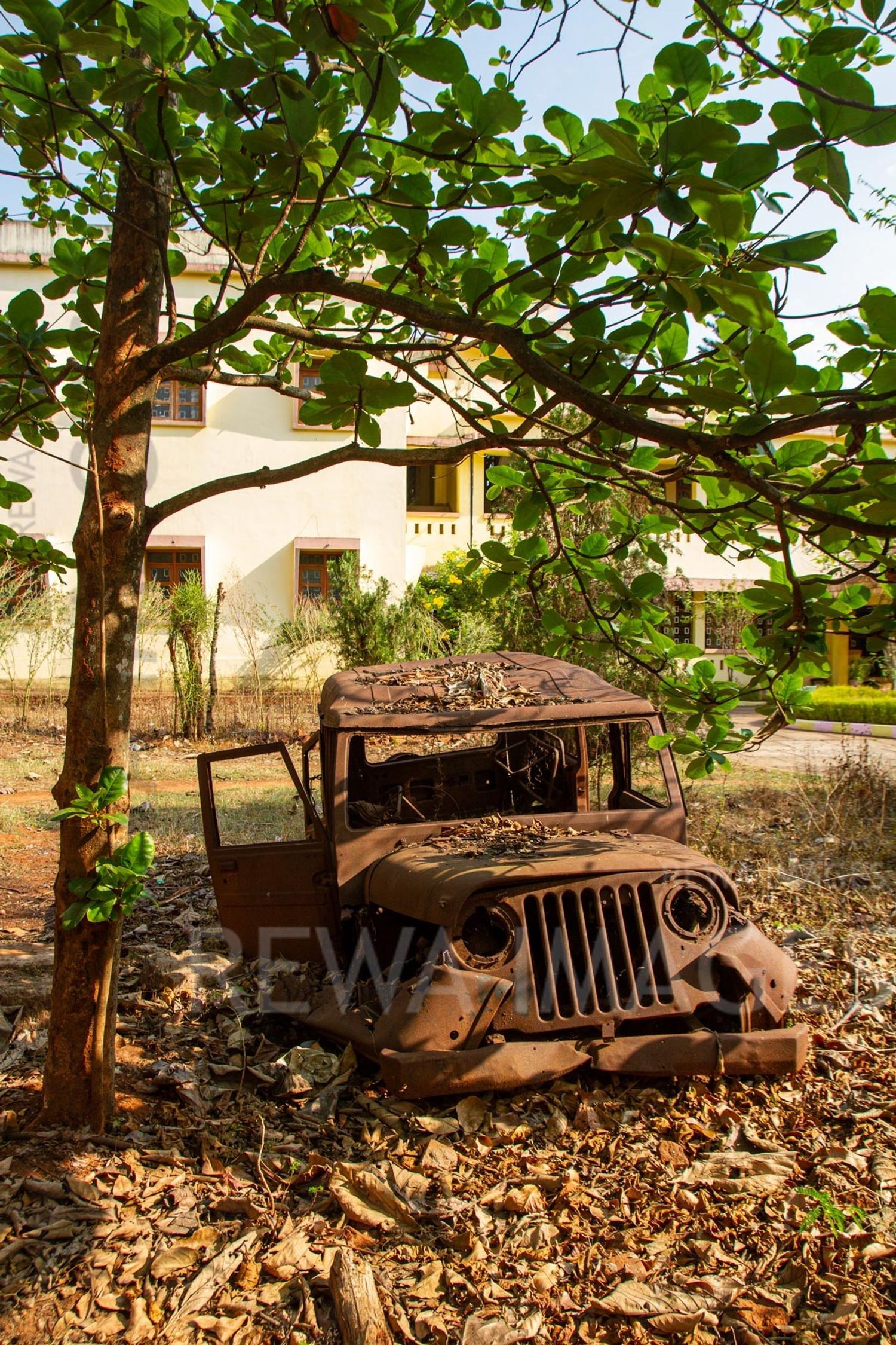 The burnt vehicle at the Pastoral House