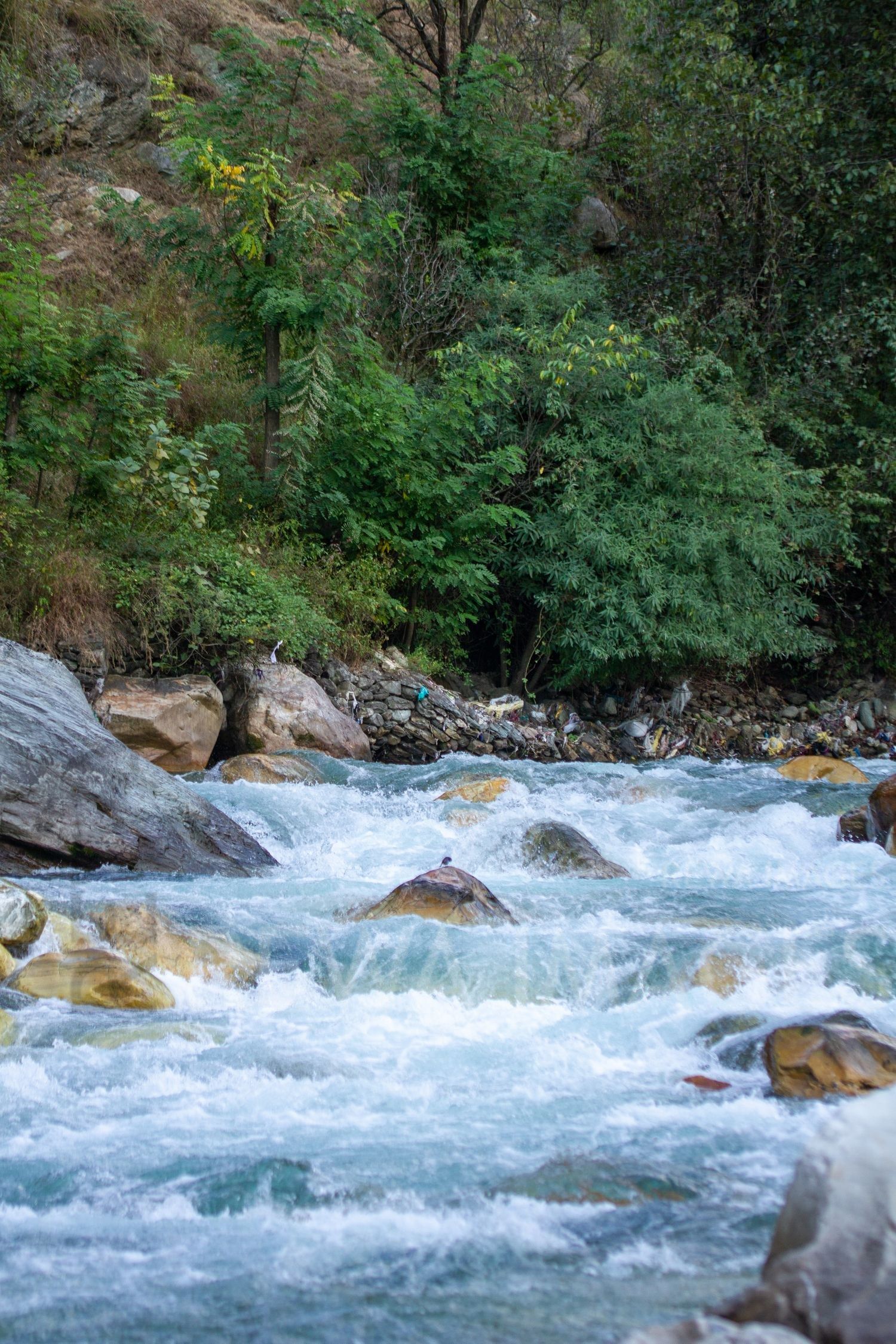Tirthan River in Himalaya