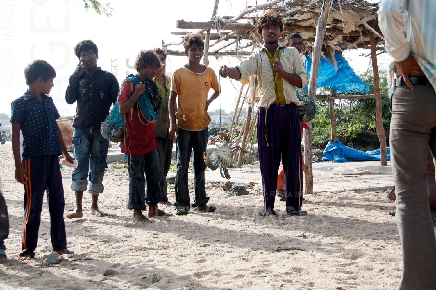 Crabs in Kutch coast