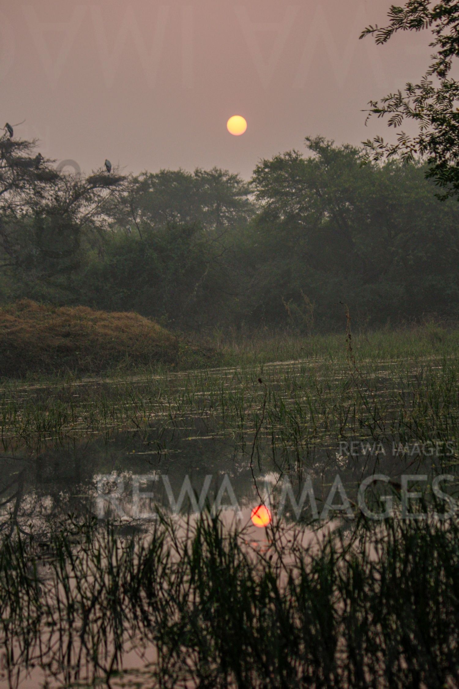 Sunrise at Bharatpur bird sanctuary
