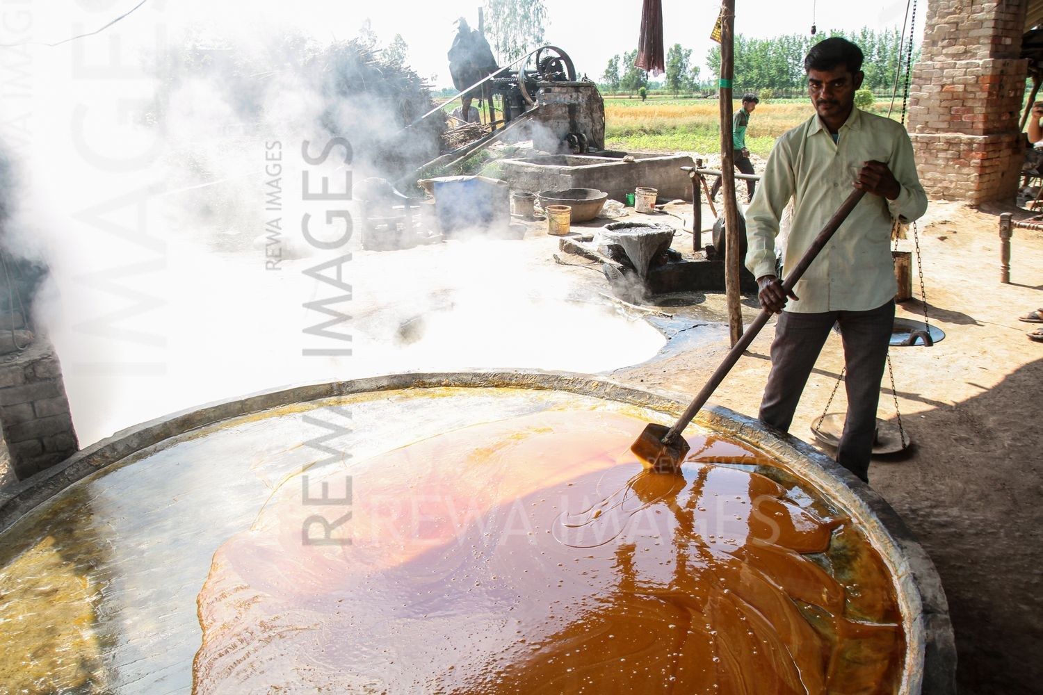 Traditional jaggery preparation