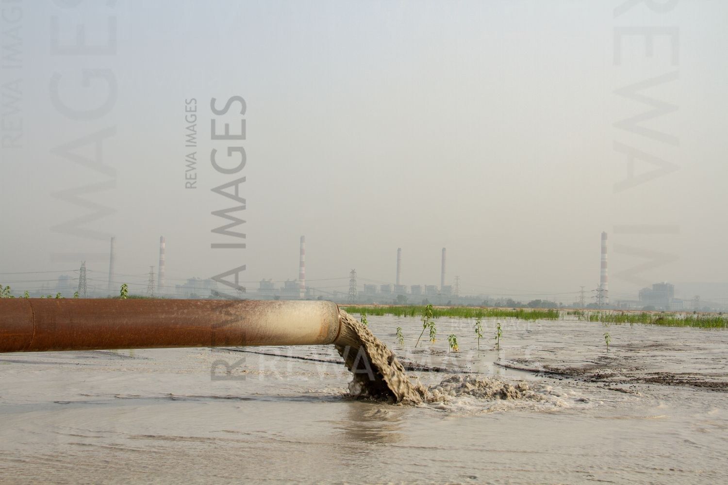 Coal Ash pond in Singrauli