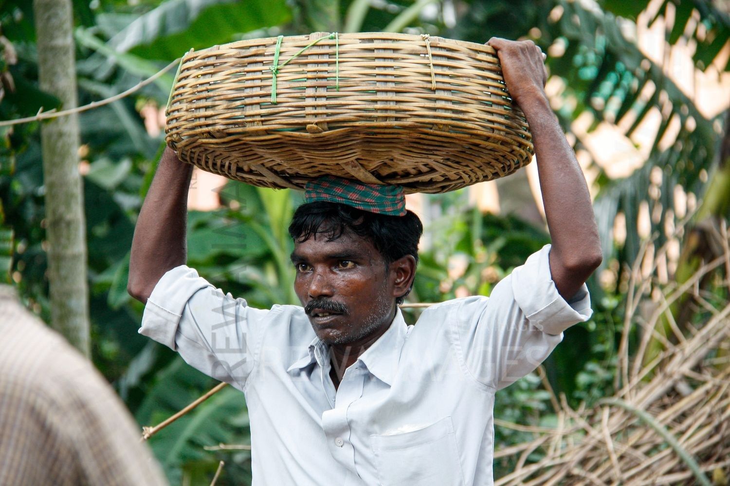 Singur village, West Bengal