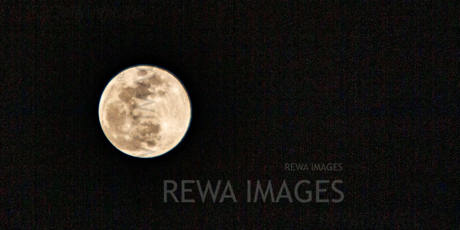 Milk Moon 2020