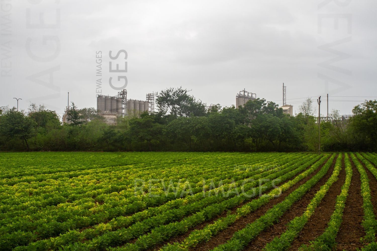 Petrochemical complex in Jamnagar, Gujarat