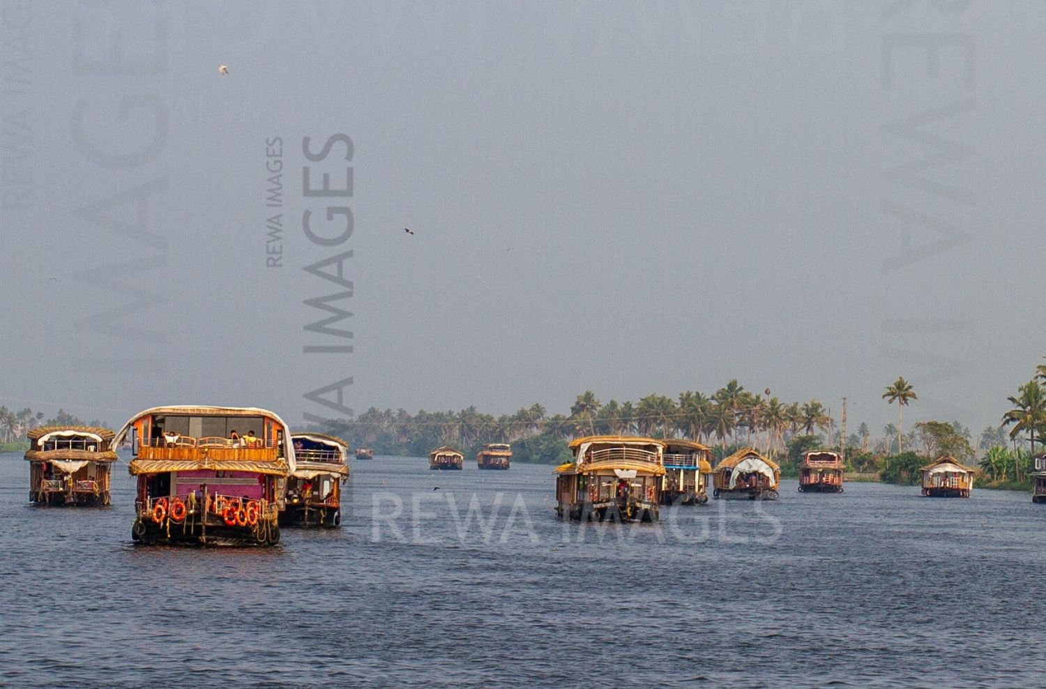 Kerala backwaters and house-boats