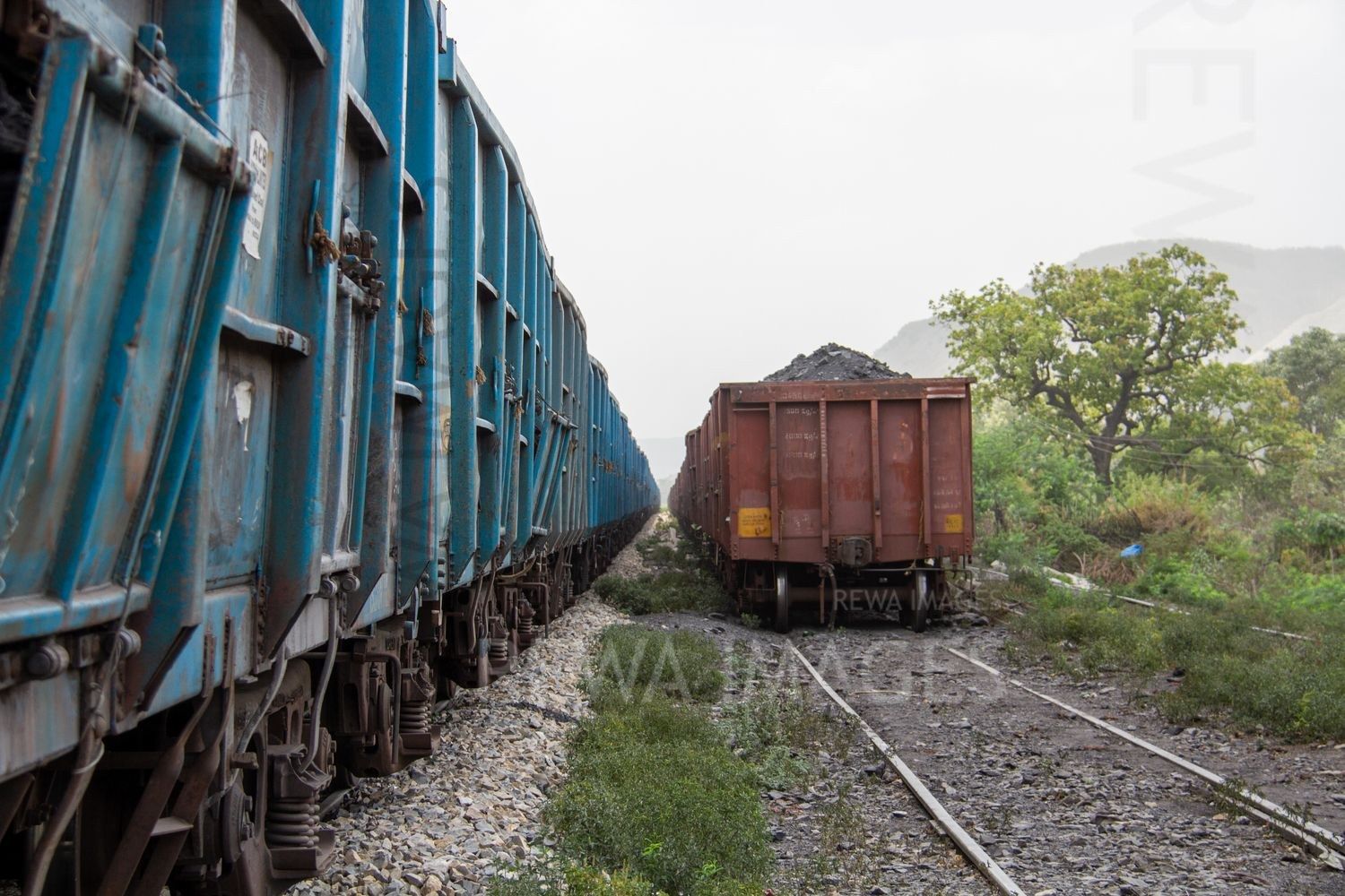 Rail wagons with coal