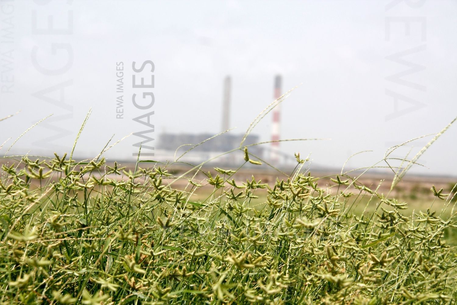 Tata Mundra project in early days
