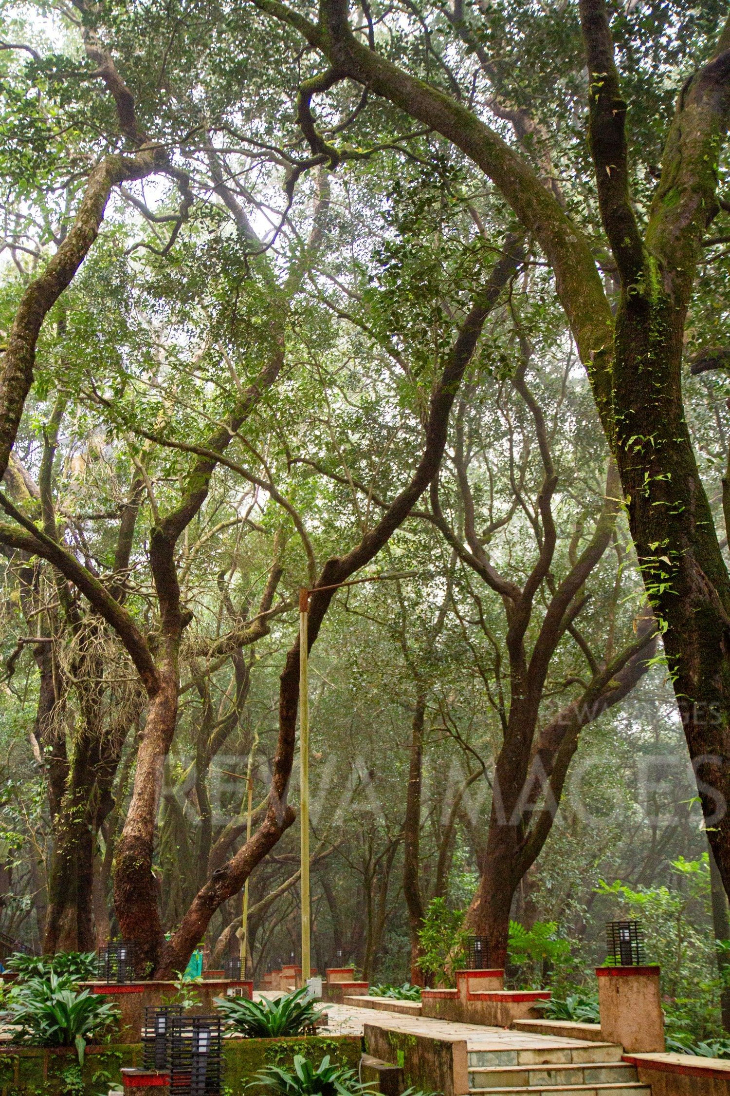 Matheran hill station