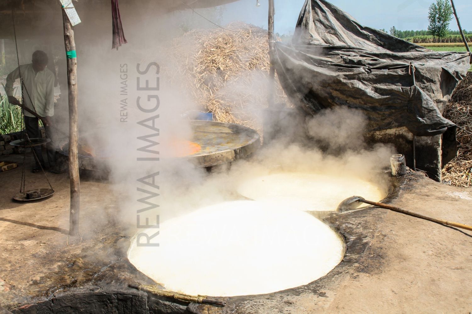 Traditional jaggery preparation