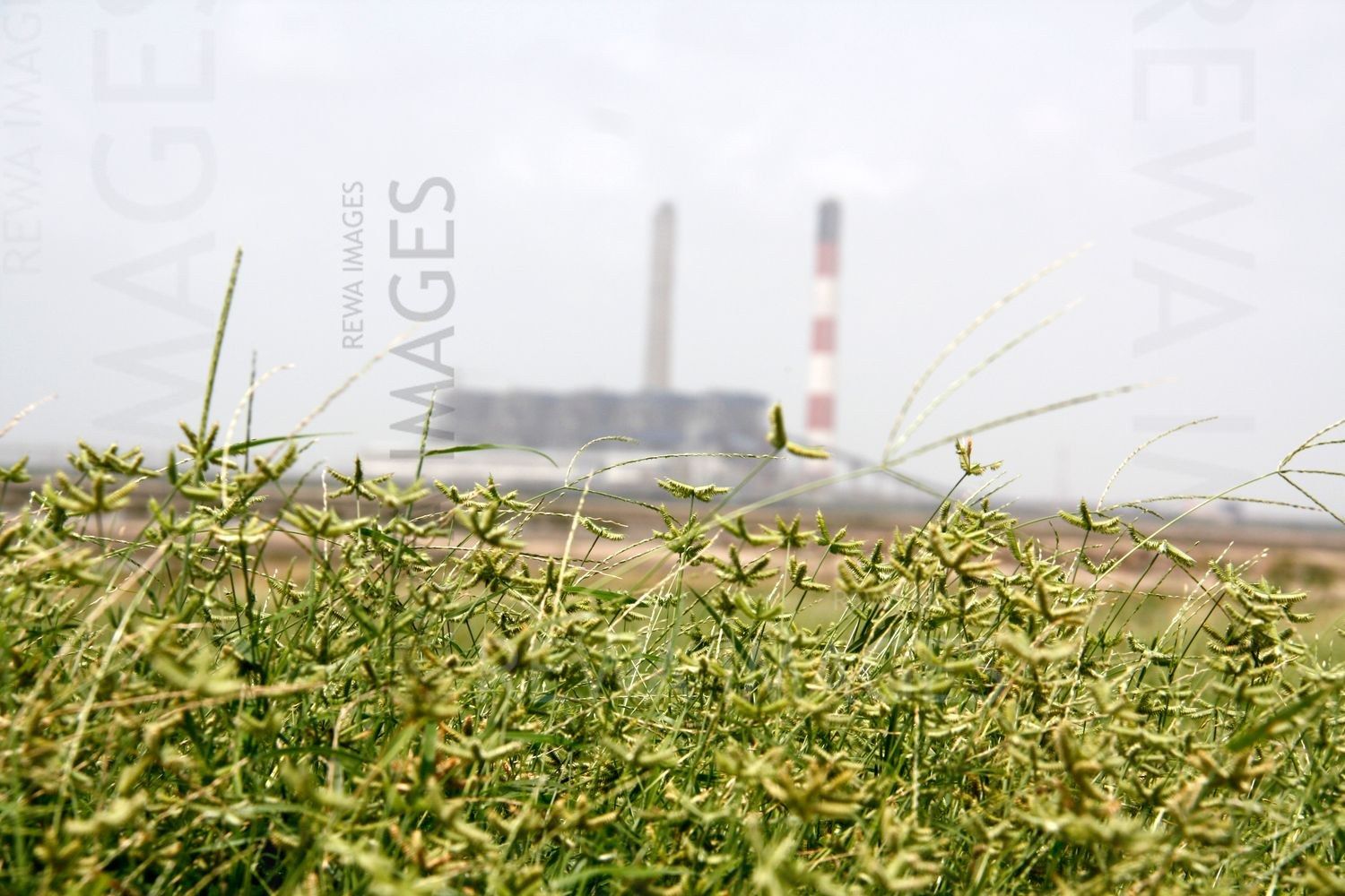 Tata Mundra project in early days