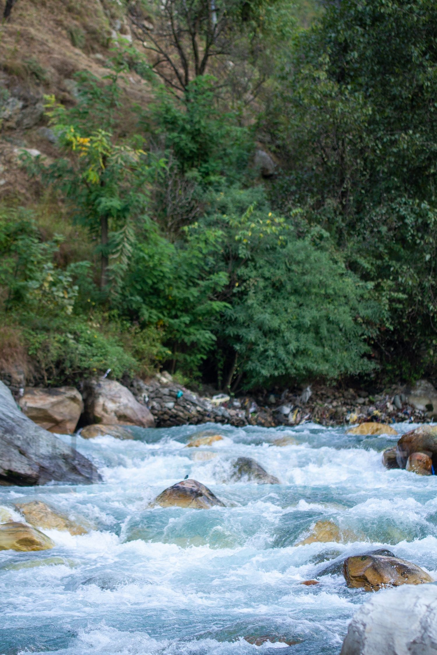 Tirthan River in Himalaya