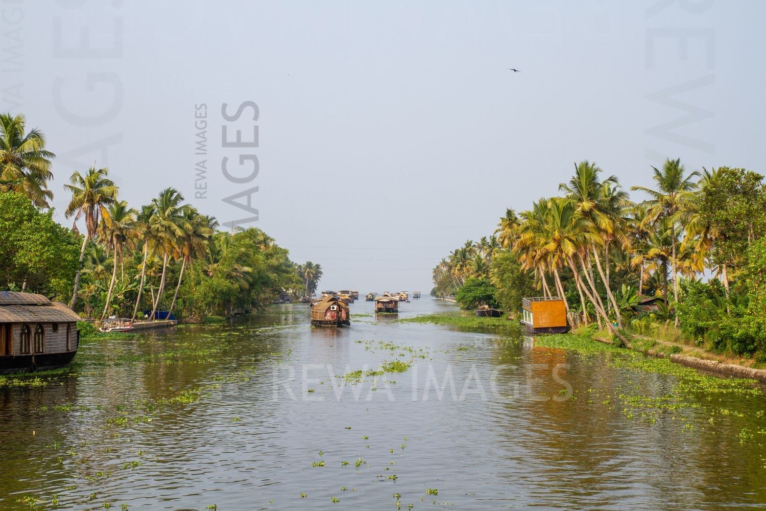 Kerala backwaters and house-boats