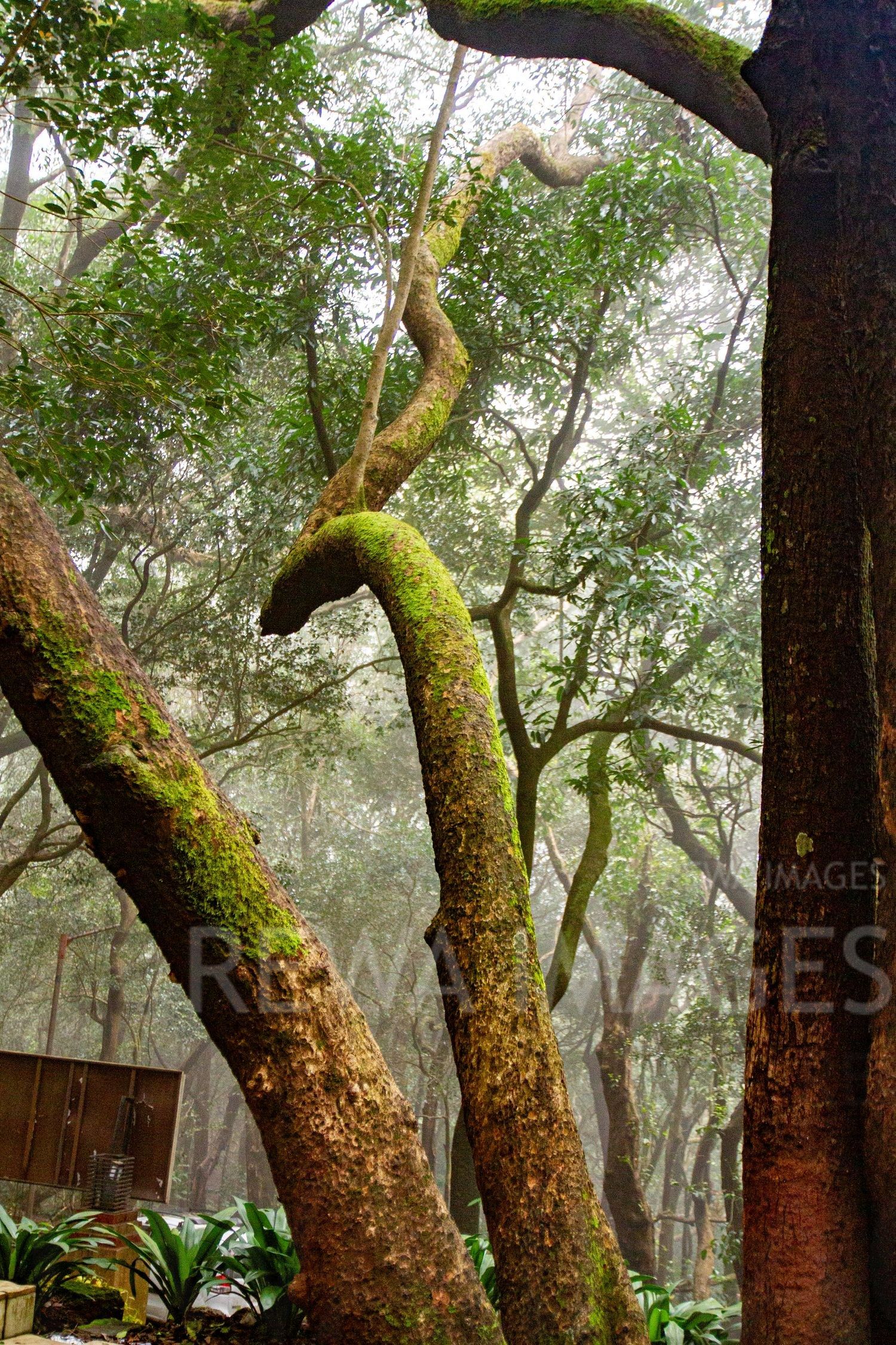 Matheran hill station