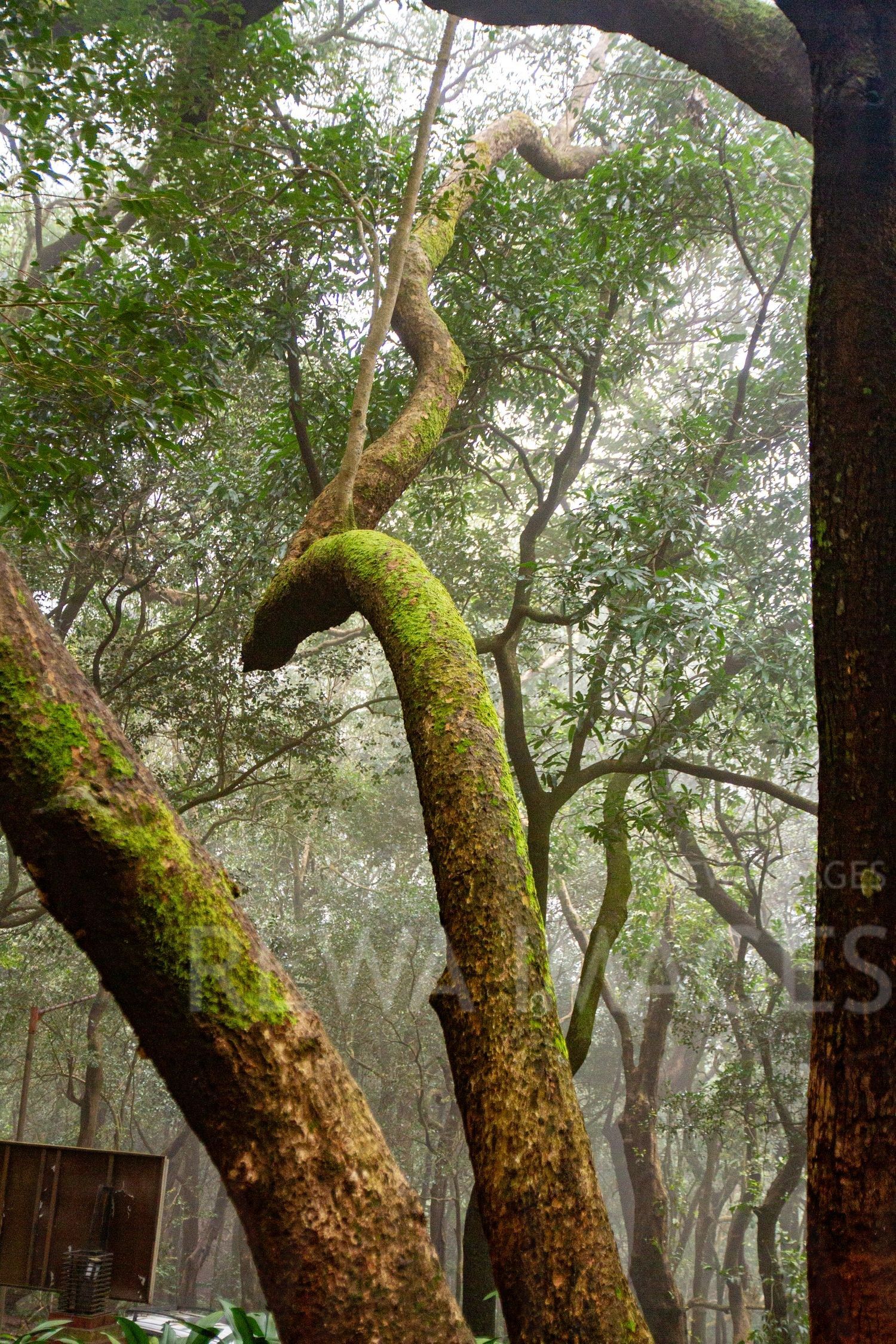 Matheran hill station
