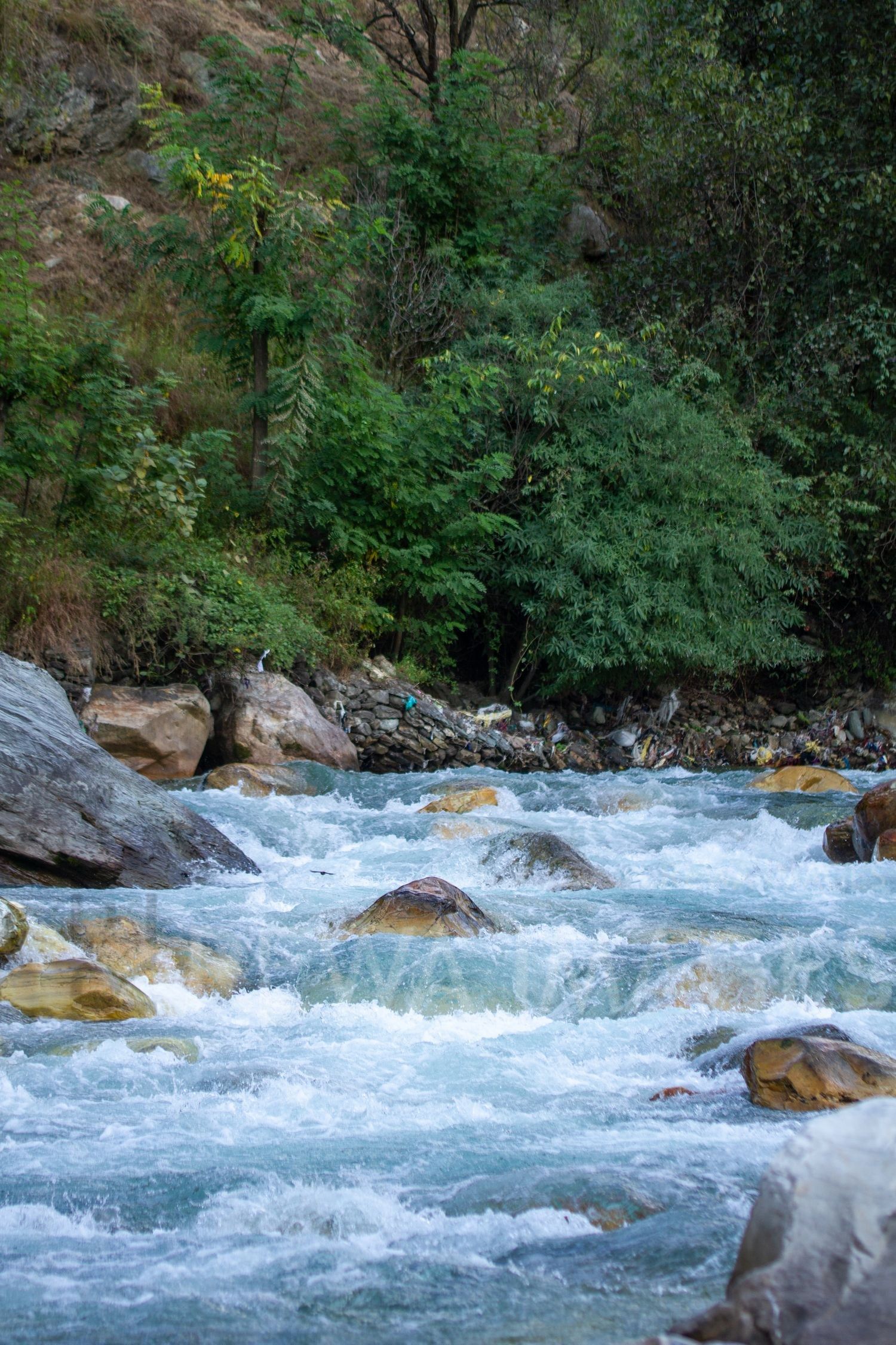 Himalayan Rivers