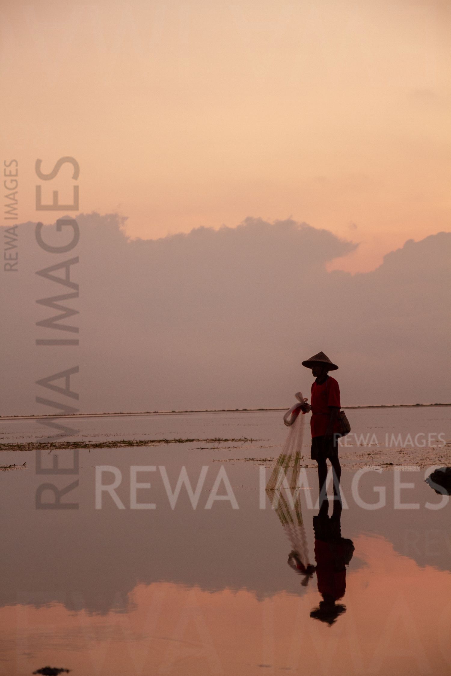 Fisherman and the sea
