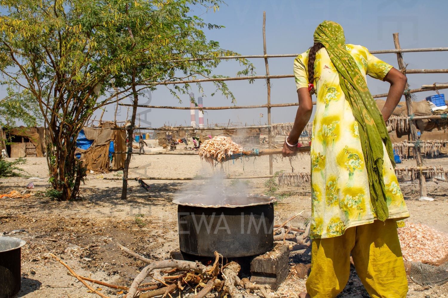 Women processing the fish catch at Tata Mundra affected village