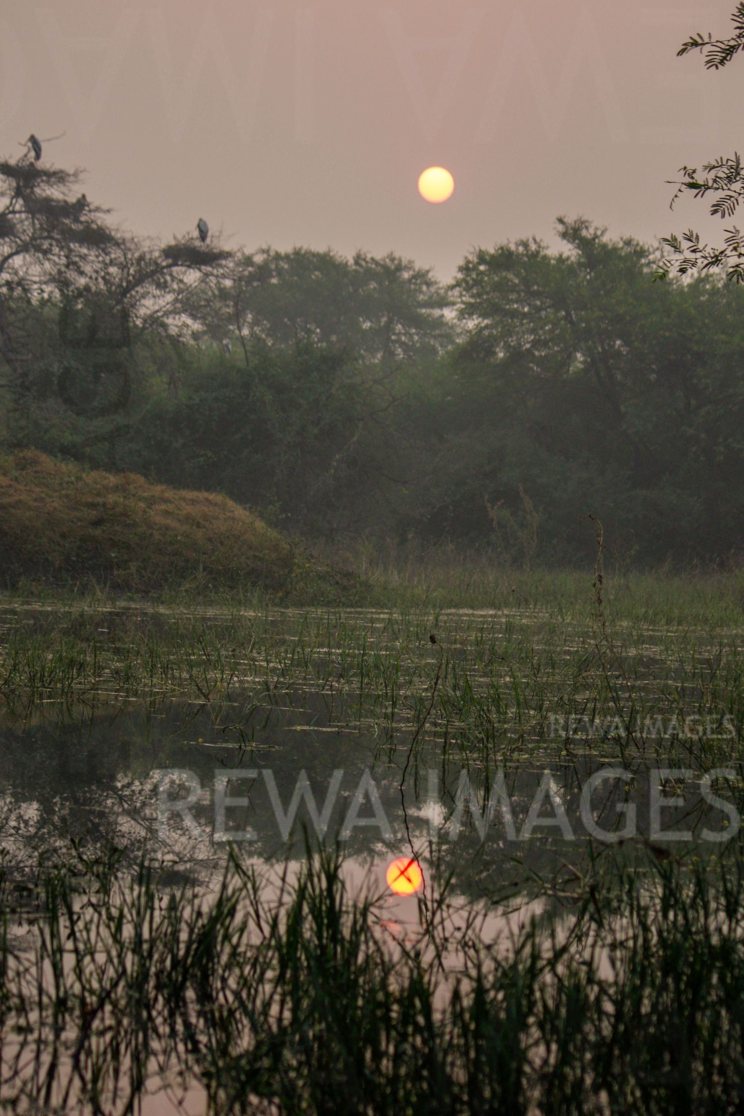 Sunrise at Bharatpur bird sanctuary